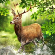 Intel Arc Xe HPG Alchemist GPU採台積電6nm製程,支援Display Port 2.0