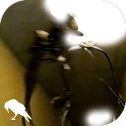 《哈利波特：魔法觉悟》4月30日敞开“同伴组队，高兴加倍”活动！